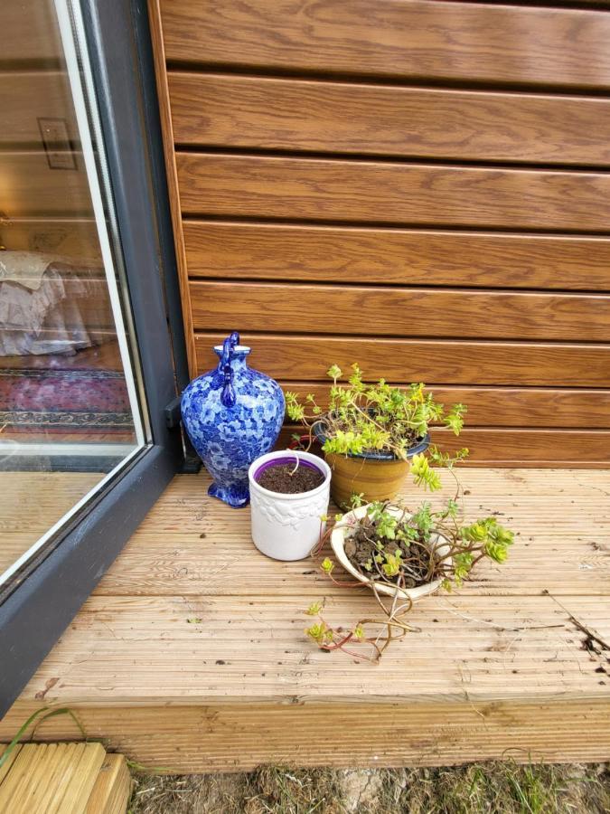 The Apple And Plum Cottage Studio Apartment New Reading Extérieur photo